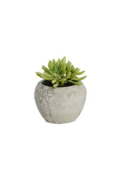 Artificial Succulent Arrangement D