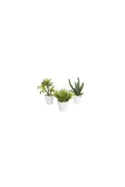 Artificial Succulent Arrangement- Set Of 3