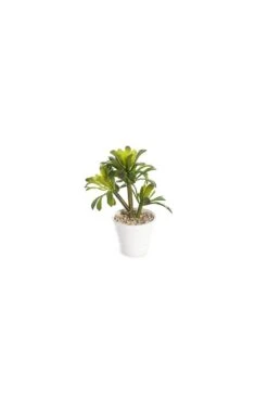 Artificial Succulent Arrangement- Set Of 3 -Artificial Plant Shop the artificial plants shop artificial succulent arrangement set of 3 p463 1041 image