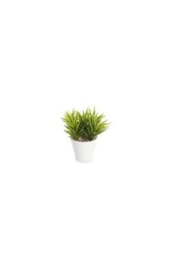 Artificial Succulent Arrangement- Set Of 3 -Artificial Plant Shop the artificial plants shop artificial succulent arrangement set of 3 p463 1042 image
