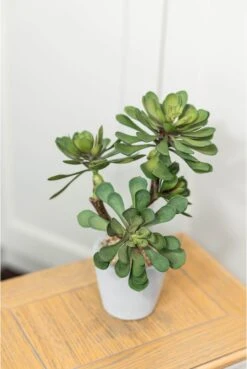 Artificial Succulent Arrangement - Triple Head -Artificial Plant Shop the artificial plants shop artificial succulent arrangement triple head p284 2596 zoom