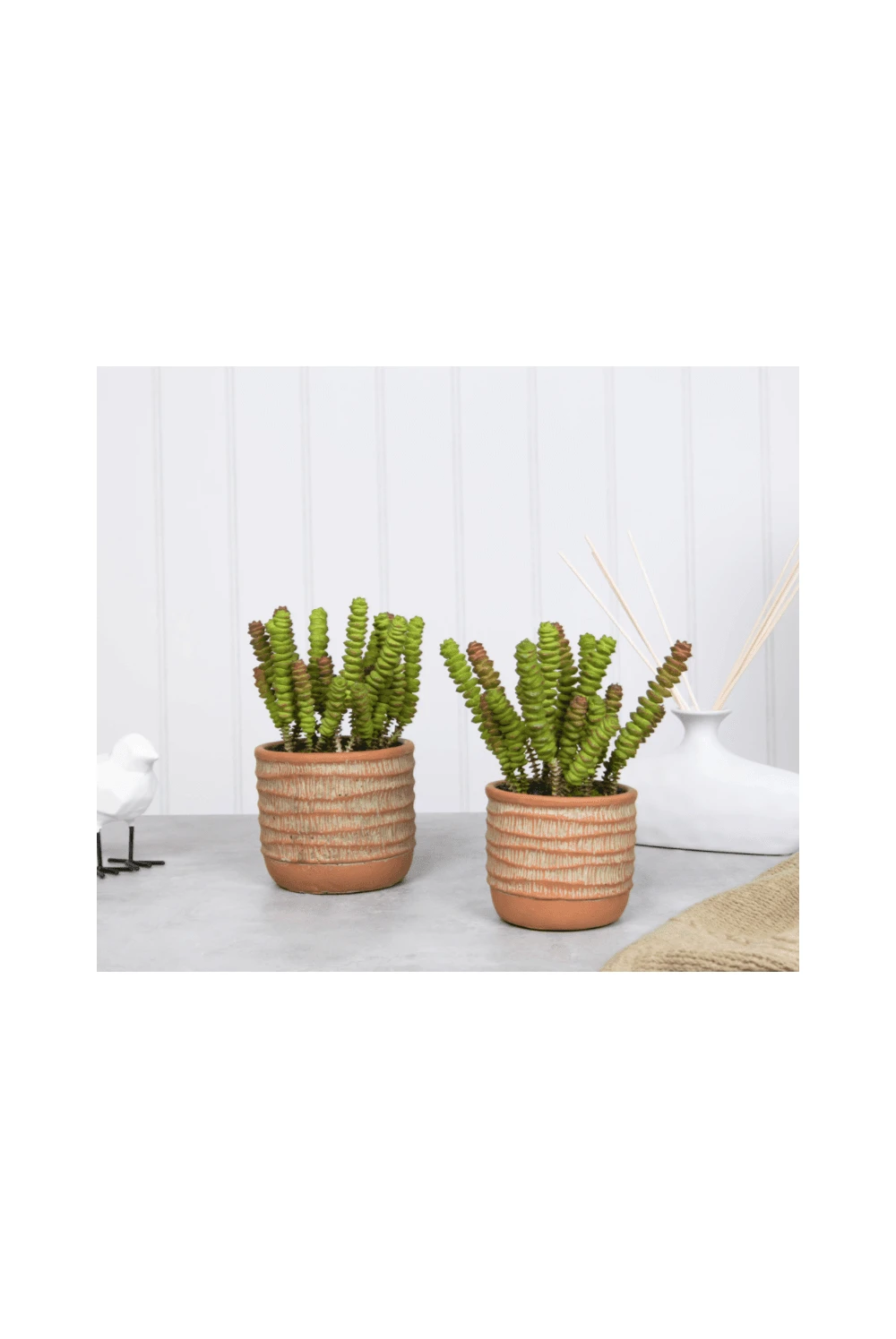 Artificial Succulent Plant Potted In Terracotta Base 3 Artificial Succulent Plant Potted In Terracotta Base