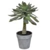 Artificial Succulent With Stem 35cm Tall -Artificial Plant Shop the artificial plants shop artificial succulent with stem 35cm tall p576 1408 image