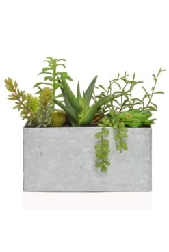 Artificial Succulents In Trough Display