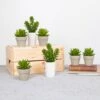 Artificial Succulents Tray 12pc -Artificial Plant Shop the artificial plants shop artificial succulents tray 12pc p701 1623 image