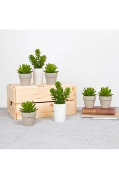 Artificial Succulents Tray 12pc