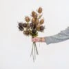 Artificial Thistle Stem - Brown -Artificial Plant Shop the artificial plants shop artificial thistle stem brown p860 2017 image