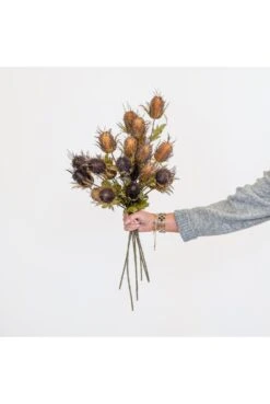 Artificial Thistle Stem - Brown