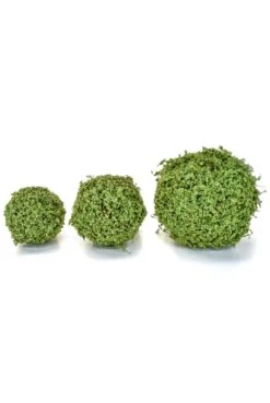 Artificial Topiary Moss Ball (3 Size Options) -Artificial Plant Shop the artificial plants shop artificial topiary moss ball 3 size options p720 1652 image