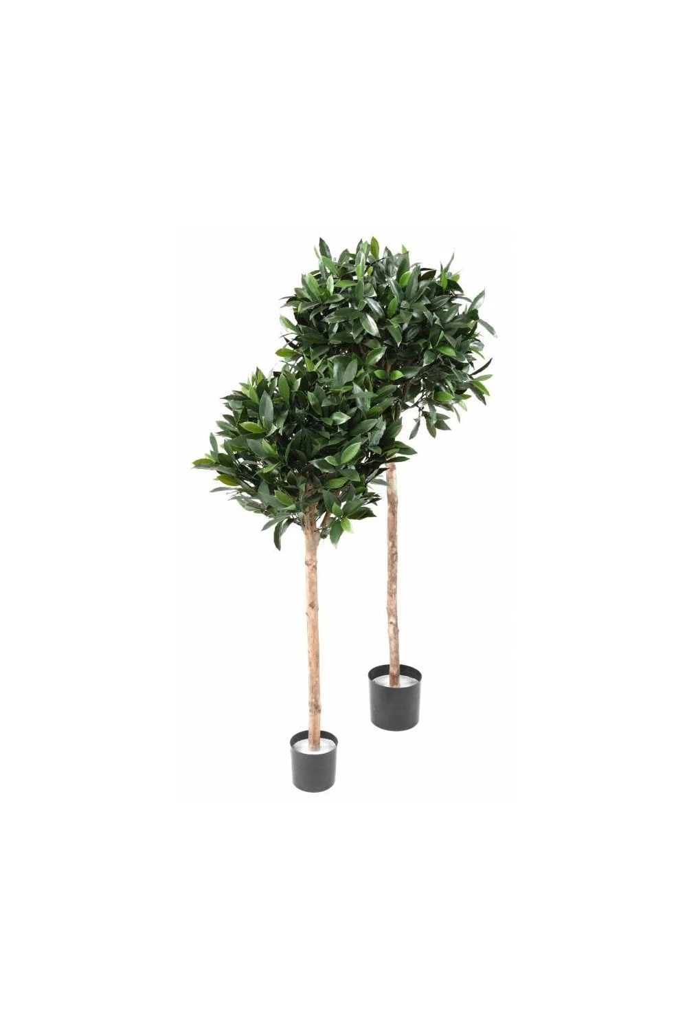 Artificial UV Protected Bay Ball Trees 3 Artificial UV Protected Bay Ball Trees