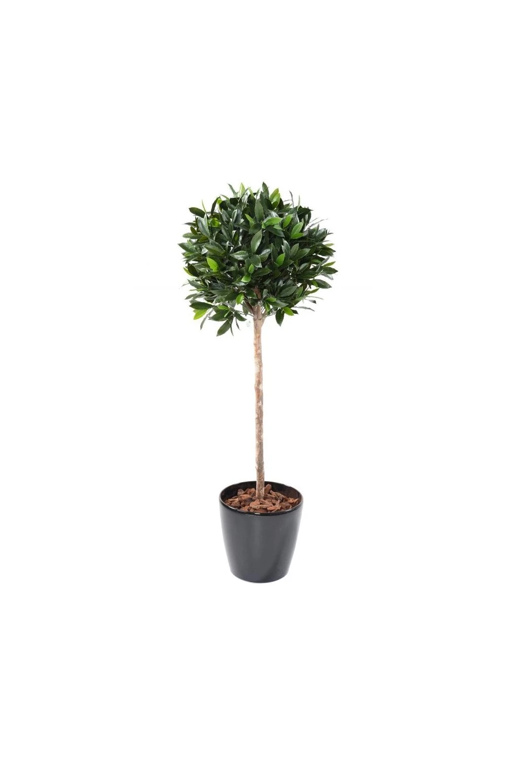 Artificial UV Protected Bay Ball Trees 4 Artificial UV Protected Bay Ball Trees - Image 2