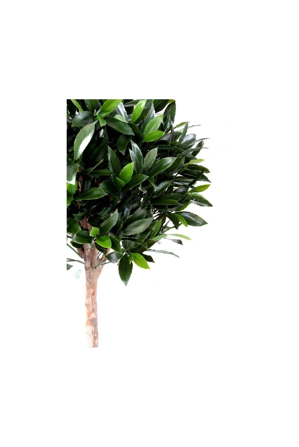 Artificial UV Protected Bay Ball Trees 5 Artificial UV Protected Bay Ball Trees - Image 3