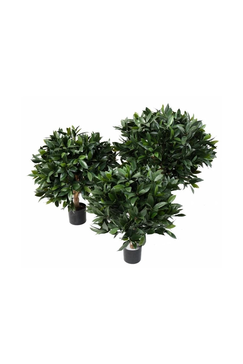 Artificial UV Protected Bay Laurel Bushes 4 Artificial UV Protected Bay Laurel Bushes - Image 2