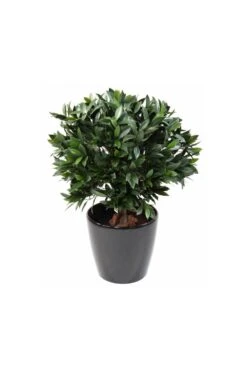 Artificial UV Protected Bay Laurel Bushes 15 Artificial UV Protected Bay Laurel Bushes -Artificial Plant Shop the artificial plants shop artificial uv protected bay laurel bushes p82 213 image