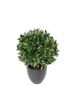 Artificial UV Protected Bay Laurel Bushes 12 Artificial UV Protected Bay Laurel Bushes -Artificial Plant Shop the artificial plants shop artificial uv protected bay laurel bushes p82 2258 image