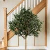 Artificial Wide Head Olive Tree (170cm & 210cm)