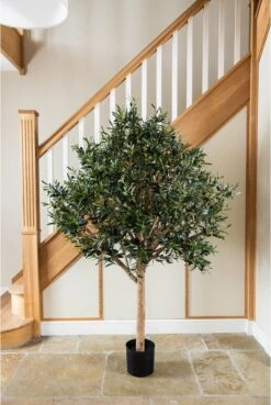 Artificial Wide Head Olive Tree (170cm & 210cm)