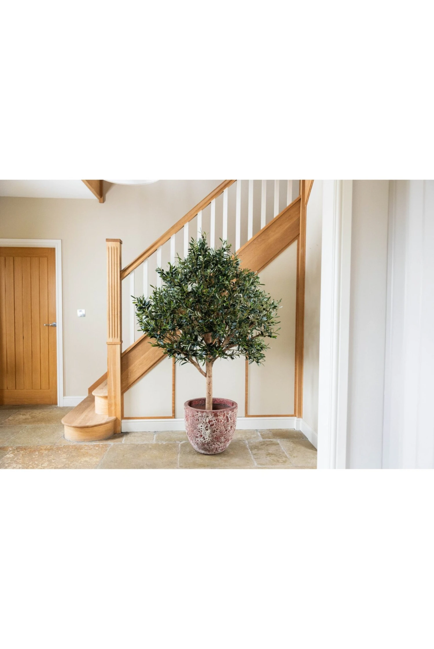 Artificial Wide Head Olive Tree (170cm & 210cm) 5 Artificial Wide Head Olive Tree (170cm & 210cm) - Image 3