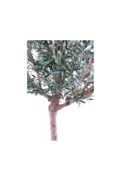 Artificial Wide Head Olive Tree (170cm & 210cm) 13 Artificial Wide Head Olive Tree (170cm & 210cm) -Artificial Plant Shop the artificial plants shop artificial wide head olive tree 170cm 210cm p112 307 image
