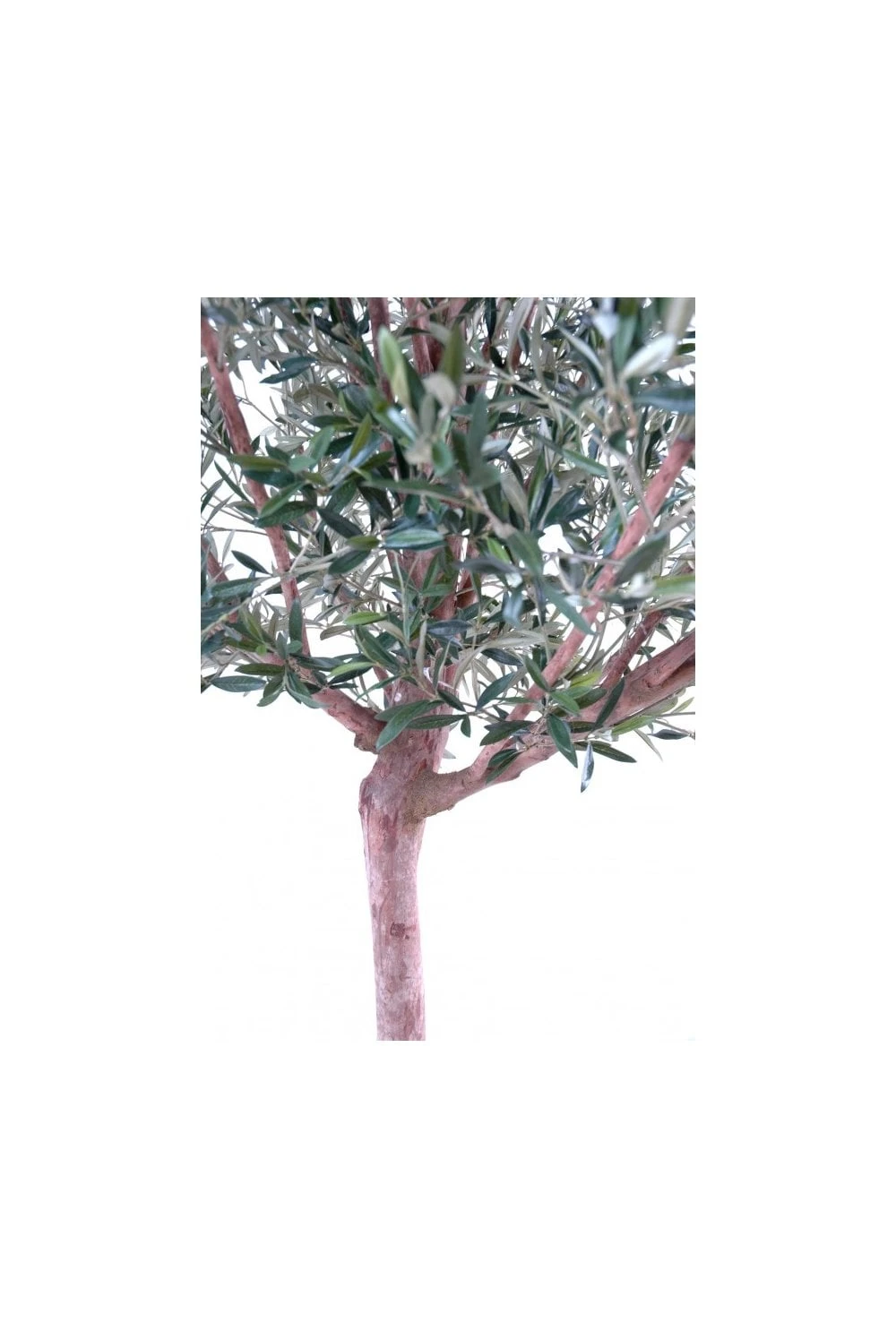 Artificial Wide Head Olive Tree (170cm & 210cm) 7 Artificial Wide Head Olive Tree (170cm & 210cm) - Image 5