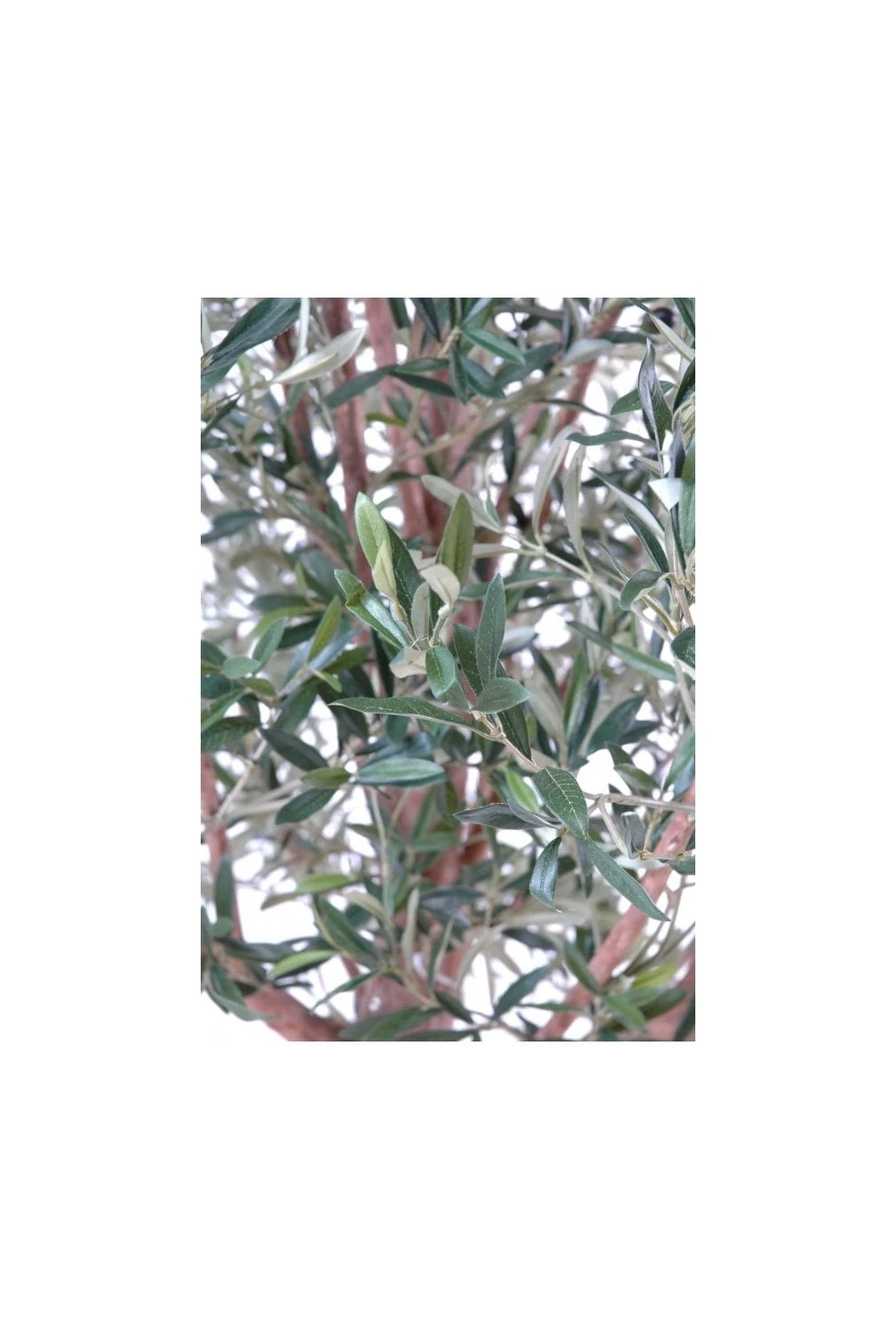 Artificial Wide Head Olive Tree (170cm & 210cm) 8 Artificial Wide Head Olive Tree (170cm & 210cm) - Image 6