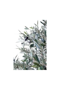 Artificial Wide Head Olive Tree (170cm & 210cm) 15 Artificial Wide Head Olive Tree (170cm & 210cm) -Artificial Plant Shop the artificial plants shop artificial wide head olive tree 170cm 210cm p112 309 image