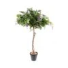 Artificial Wisteria Canopy Tree -Artificial Plant Shop the artificial plants shop artificial wisteria canopy tree p340 768 image