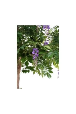 Artificial Wisteria Canopy Tree -Artificial Plant Shop the artificial plants shop artificial wisteria canopy tree p340 771 image