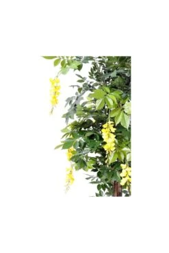 Artificial Wisteria Multi-stem Trees White & Yellow -Artificial Plant Shop the artificial plants shop artificial wisteria multi stem trees white yellow p339 767 image