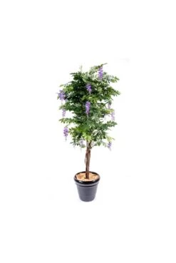 Artificial Wisteria Multi-stem Trees White & Yellow -Artificial Plant Shop the artificial plants shop artificial wisteria multi stem trees white yellow p339 832 image