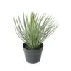 Artificial Yucca Rostrata Succulent Plant 40CM -Artificial Plant Shop the artificial plants shop artificial yucca rostrata succulent plant 40cm p455 1028 image