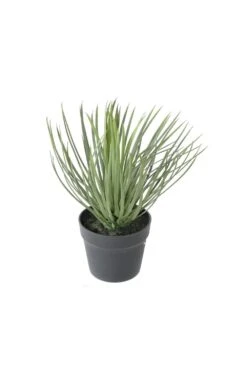 Artificial Yucca Rostrata Succulent Plant 40CM