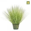 Artificial Zebra Grass In Metal Base 86cm 2 Artificial Zebra Grass In Metal Base 86cm -Artificial Plant Shop the artificial plants shop artificial zebra grass in metal base 86cm p446 1018 image