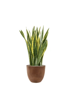 Artstone Bola Pot - Oak 8 Artstone Bola Pot - Oak -Artificial Plant Shop the artificial plants shop artstone bola pot oak p933 2418 image