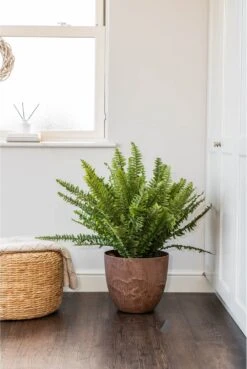 Artstone Bola Pot - Oak