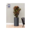 Baq Tall Round Planter -Artificial Plant Shop the artificial plants shop baq tall round planter p542 1313 image