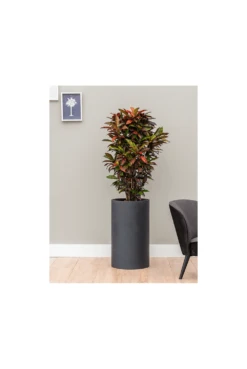 Baq Tall Round Planter