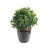 Exterior Grade Bay Laurel Ball 2 Exterior Grade Bay Laurel Ball -Artificial Plant Shop the artificial plants shop exterior grade bay laurel ball p87 221 image