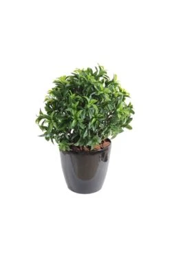 Exterior Grade Bay Laurel Ball