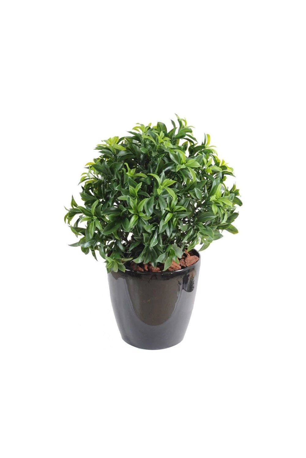 Exterior Grade Bay Laurel Ball 3 Exterior Grade Bay Laurel Ball