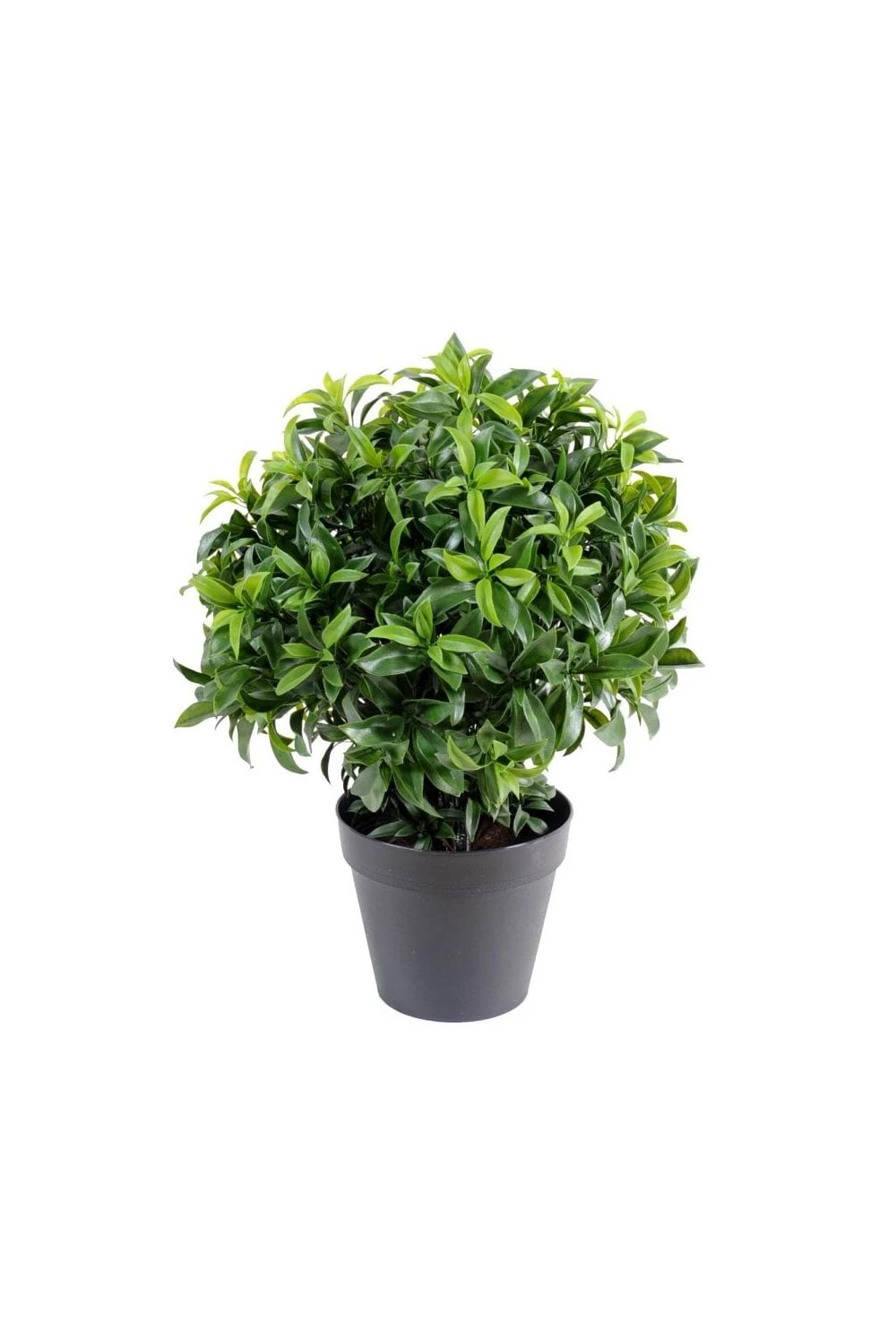 Exterior Grade Bay Laurel Ball 4 Exterior Grade Bay Laurel Ball - Image 2