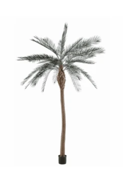 Green Artificial Phoenix Of 280 Cm Wide Trunk UV Protected