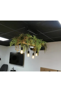 Hanging Plant Arrangements