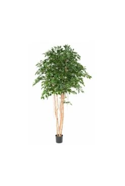 Large Artificial Ficus Tree 2.6m -Artificial Plant Shop the artificial plants shop large artificial ficus tree 2 6m p937 2434 image