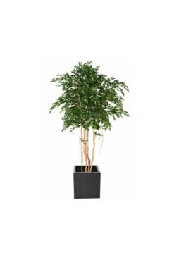 Large Artificial Ficus Tree 2.6m -Artificial Plant Shop the artificial plants shop large artificial ficus tree 2 6m p937 2435 image