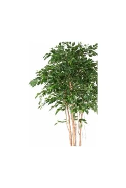 Large Artificial Ficus Tree 2.6m -Artificial Plant Shop the artificial plants shop large artificial ficus tree 2 6m p937 2436 image