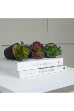 Pack Of 12 Artificial Succulents