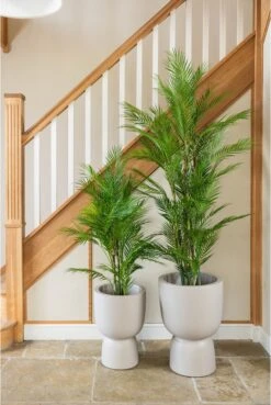 Pure Beige Footed Planter