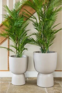 Pure Beige Footed Planter 12 Pure Beige Footed Planter -Artificial Plant Shop the artificial plants shop pure beige footed planter p936 2582 zoom