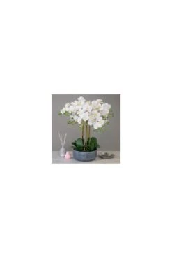 Real Touch Artificial Orchid Display